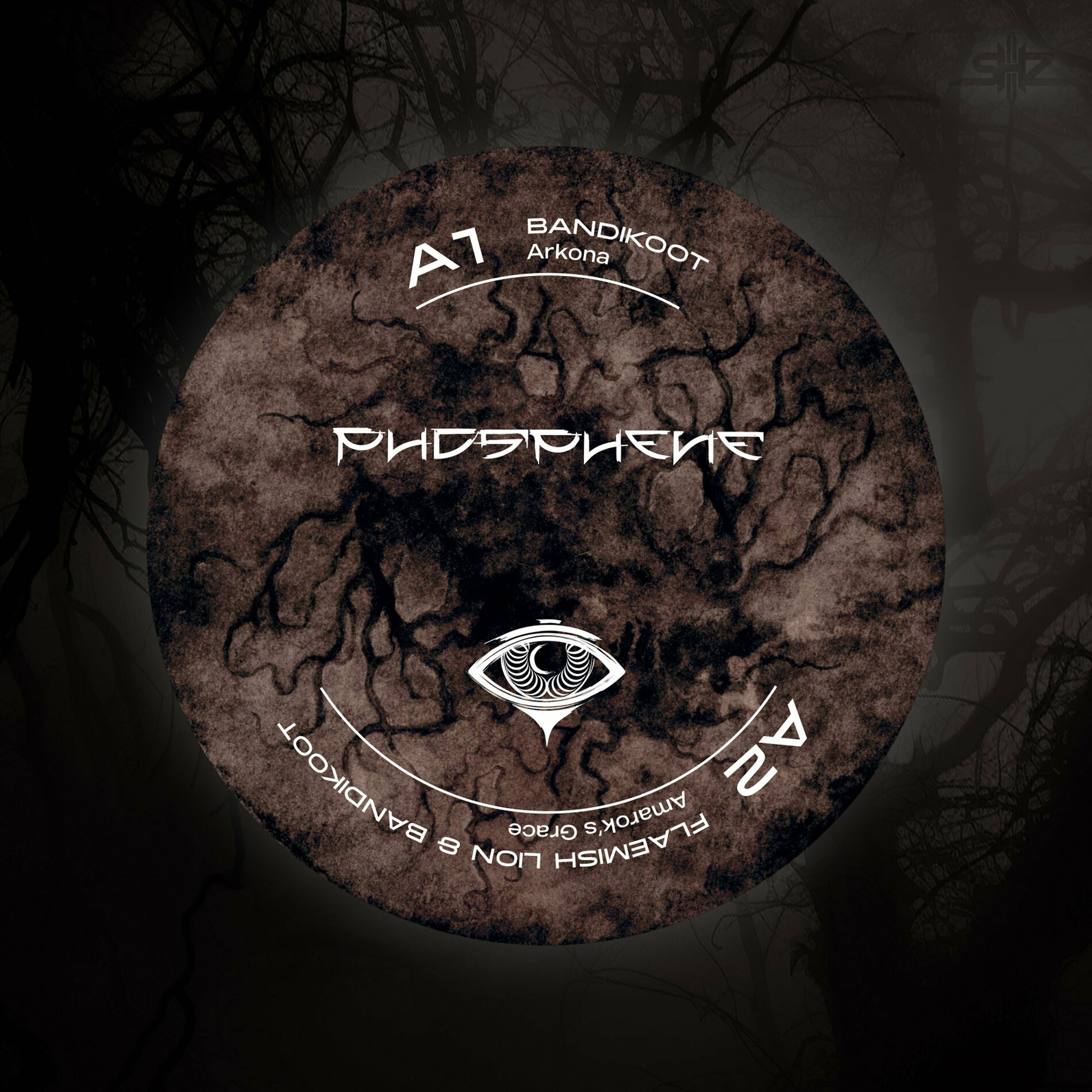 Album cover of Amarok's Grace