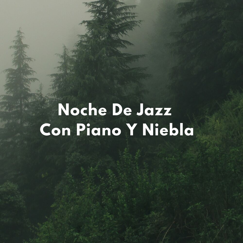 Picture of Noche De Jazz Con Piano Y Niebla