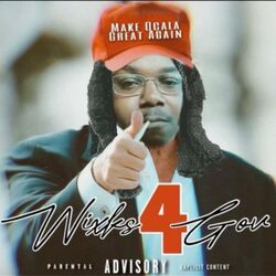 Cover of Wixks4Gov