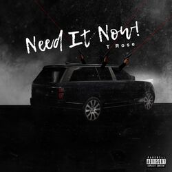 Cover of Need It Now