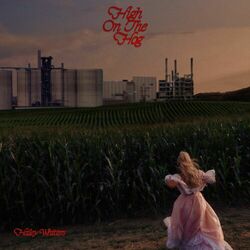 Cover of High On The Hog
