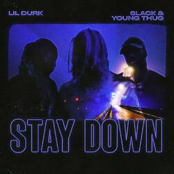 Cover of Stay Down