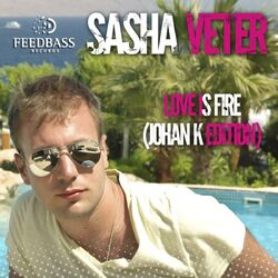 Cover of Love Is Fire
