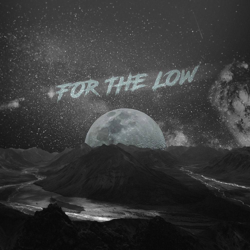 Album artwork for For the Low by 360