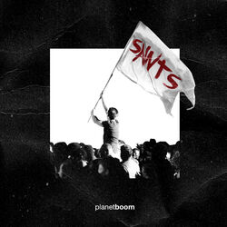 Cover of Saints