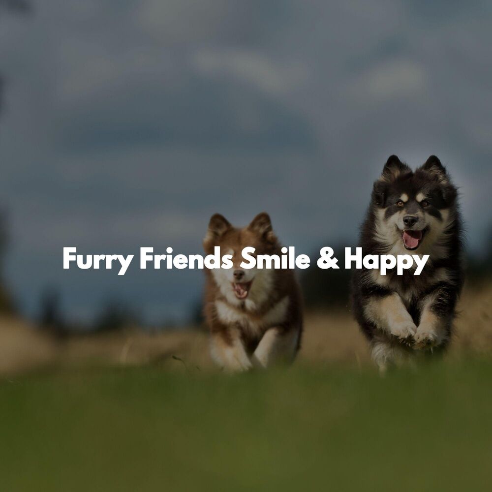 Picture of Furry Friends Smile & Happy