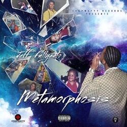 Cover of Metamorphosis