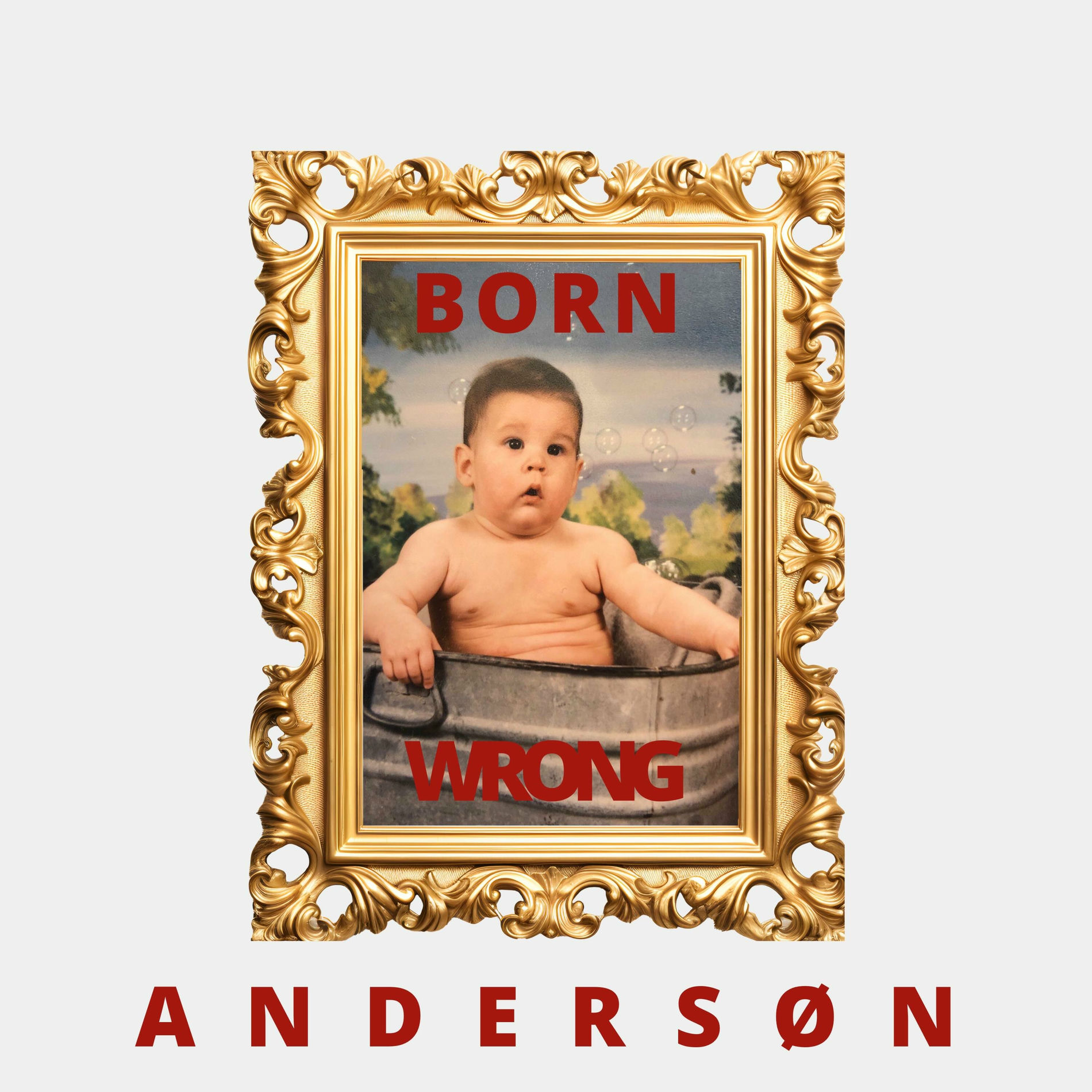 Album cover of Born Wrong