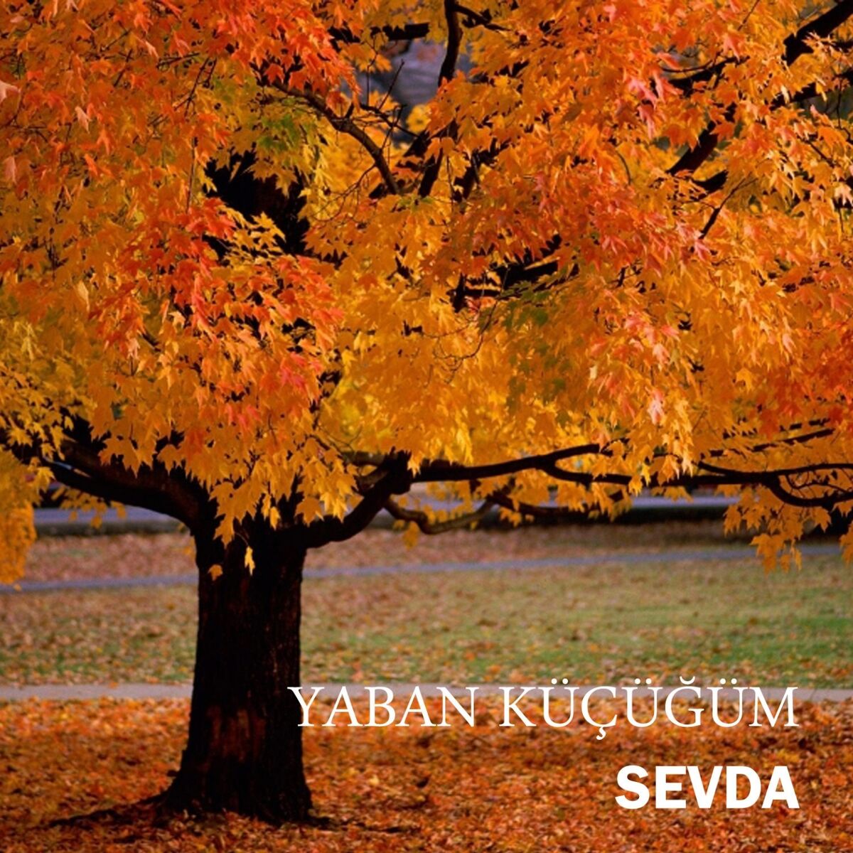 Album cover of Yaban Küçüğüm