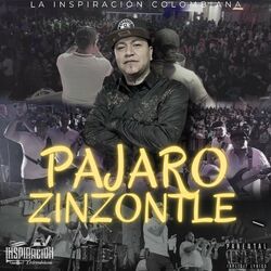 Cover of PAJARO ZINZONTLE