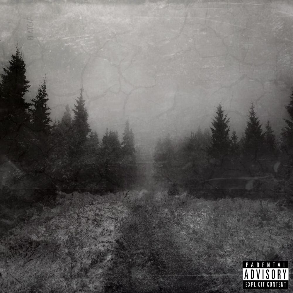 Picture of The Fade Away