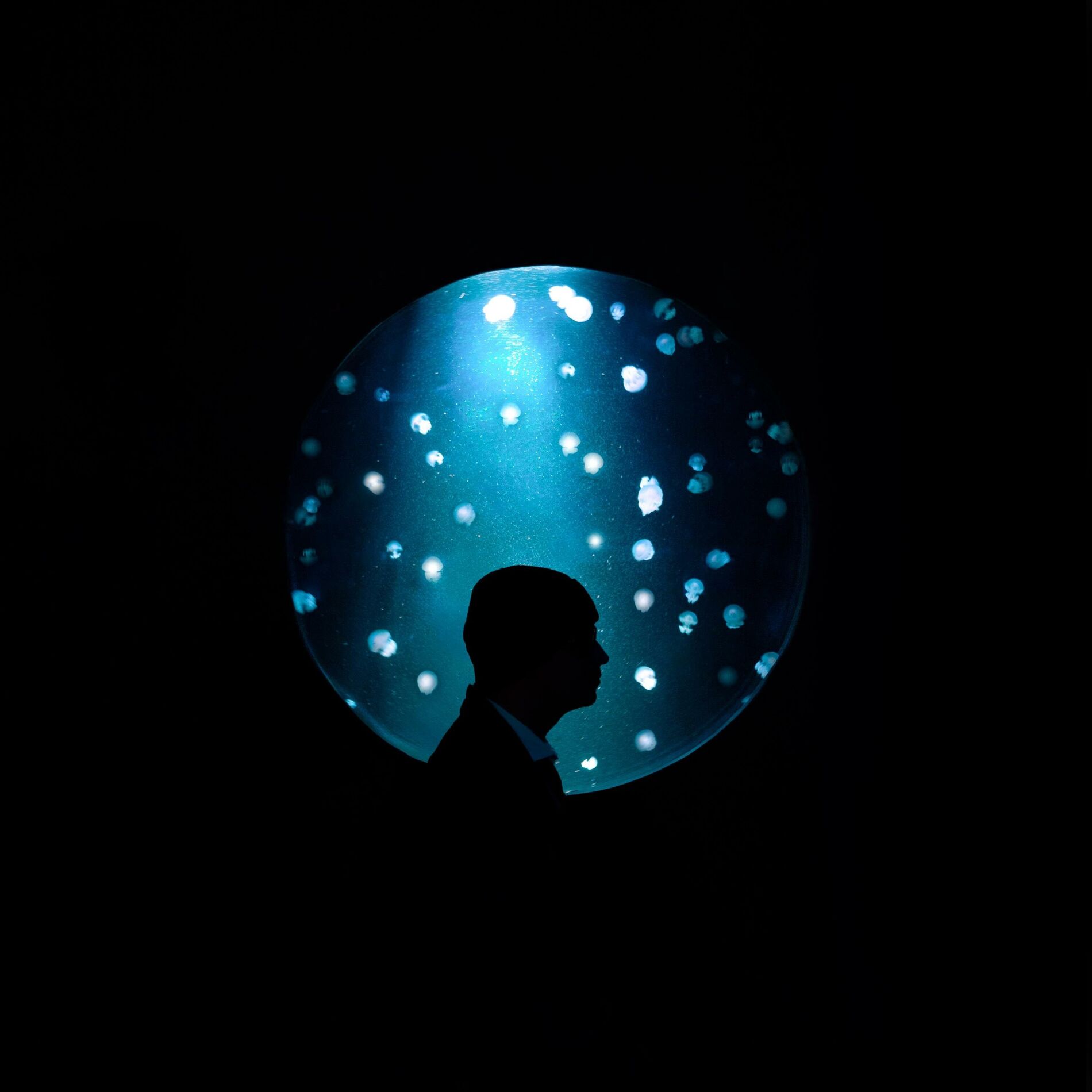 Album cover of Adrénaline
