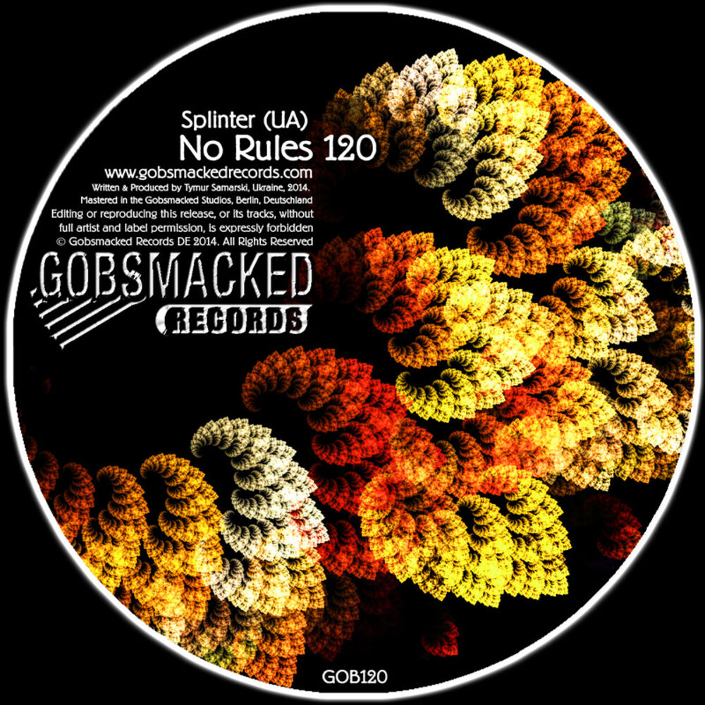 Picture of No Rules 120