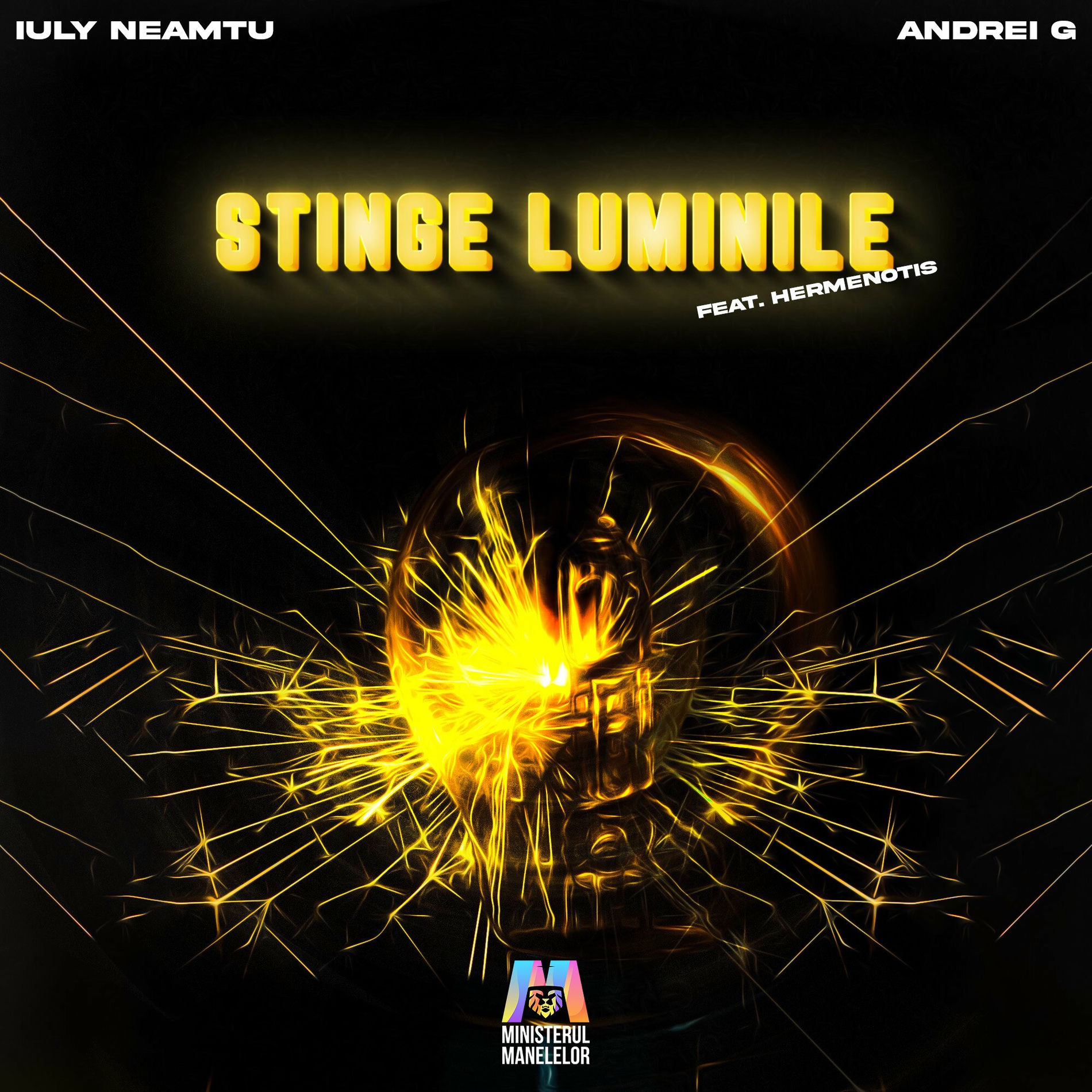 Album cover of Stinge luminile