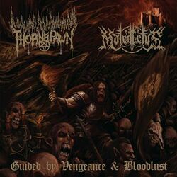 Cover of Guided by Vengeance & Bloodlust