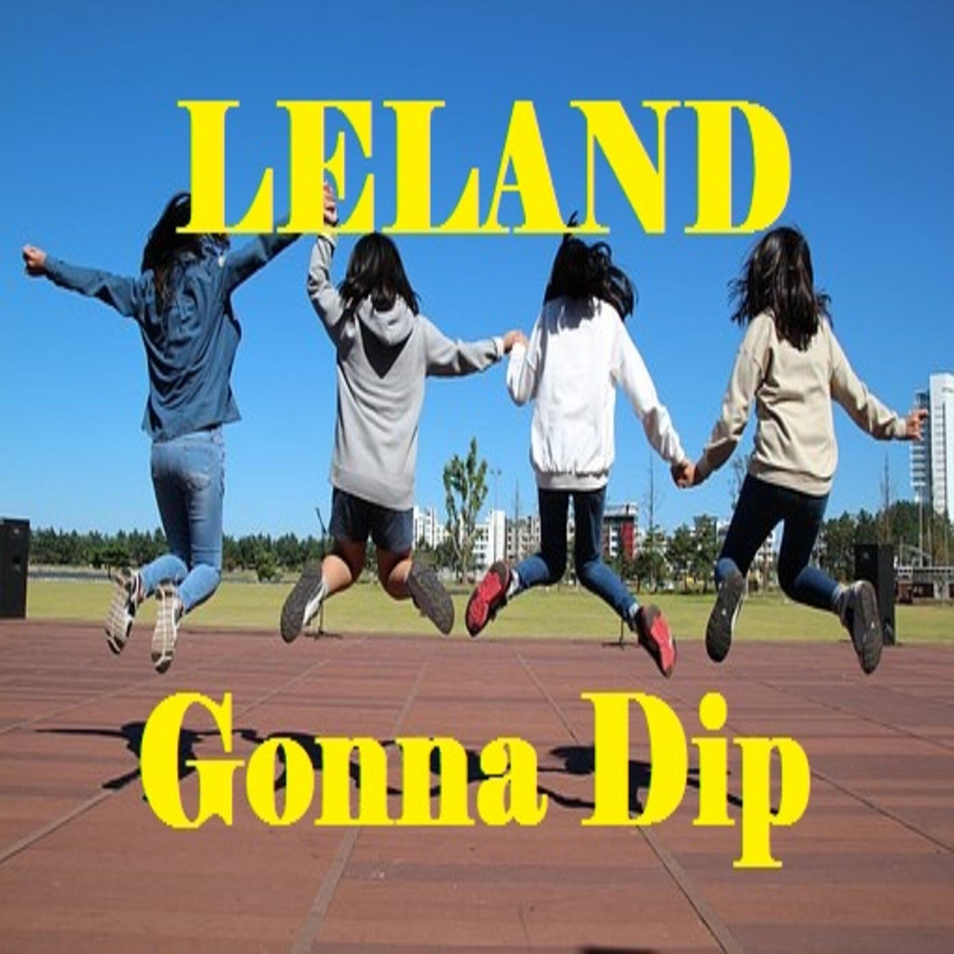 Album cover of Gonna Dip