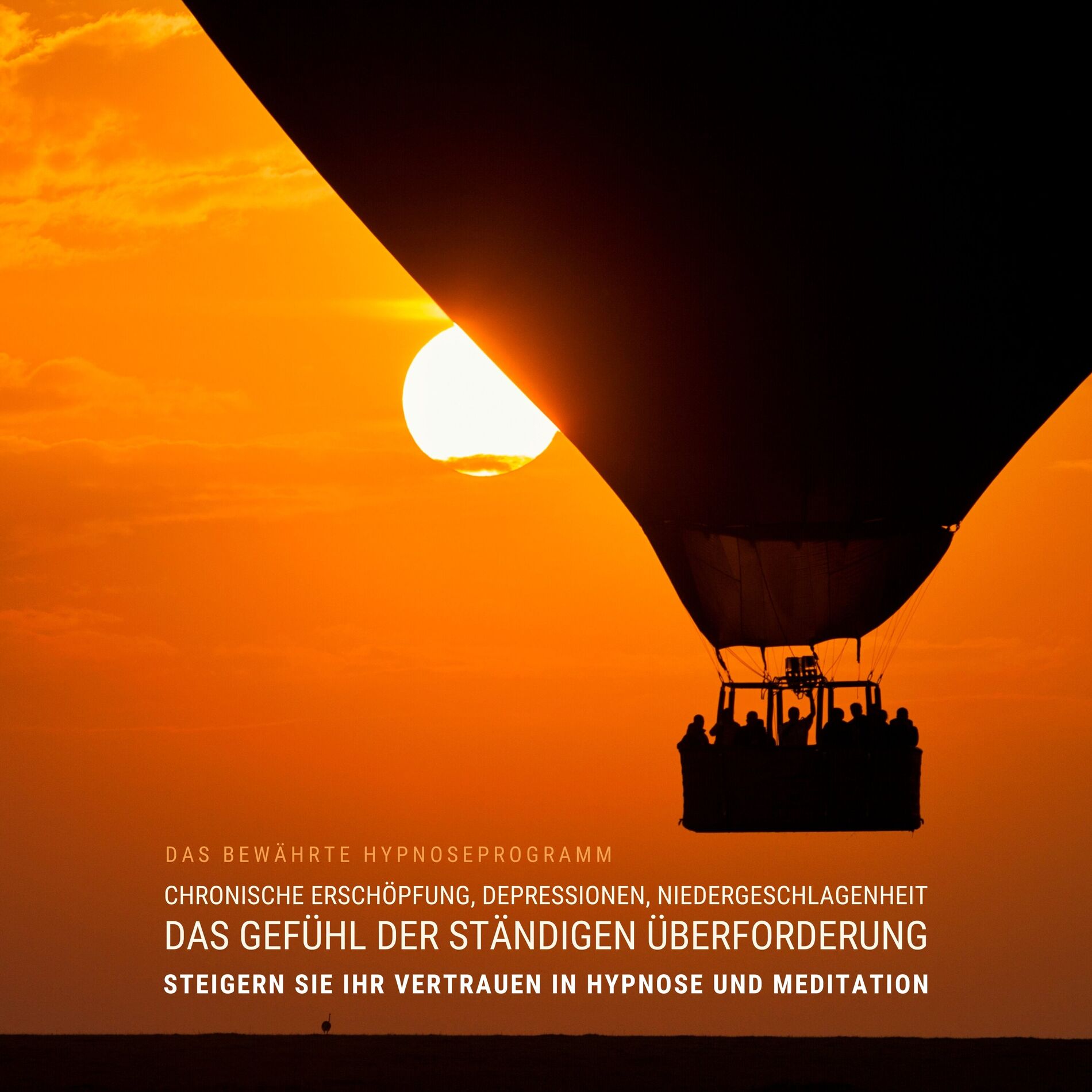 Album cover of Chronische Erschöpfung, Depressionen, Niedergeschlagenheit, das Gefühl der ständigen Überforderung: Das bewährte Hypnoseprogramm (Steigern Sie Ihr Vertrauen in Hypnose und Meditation)
