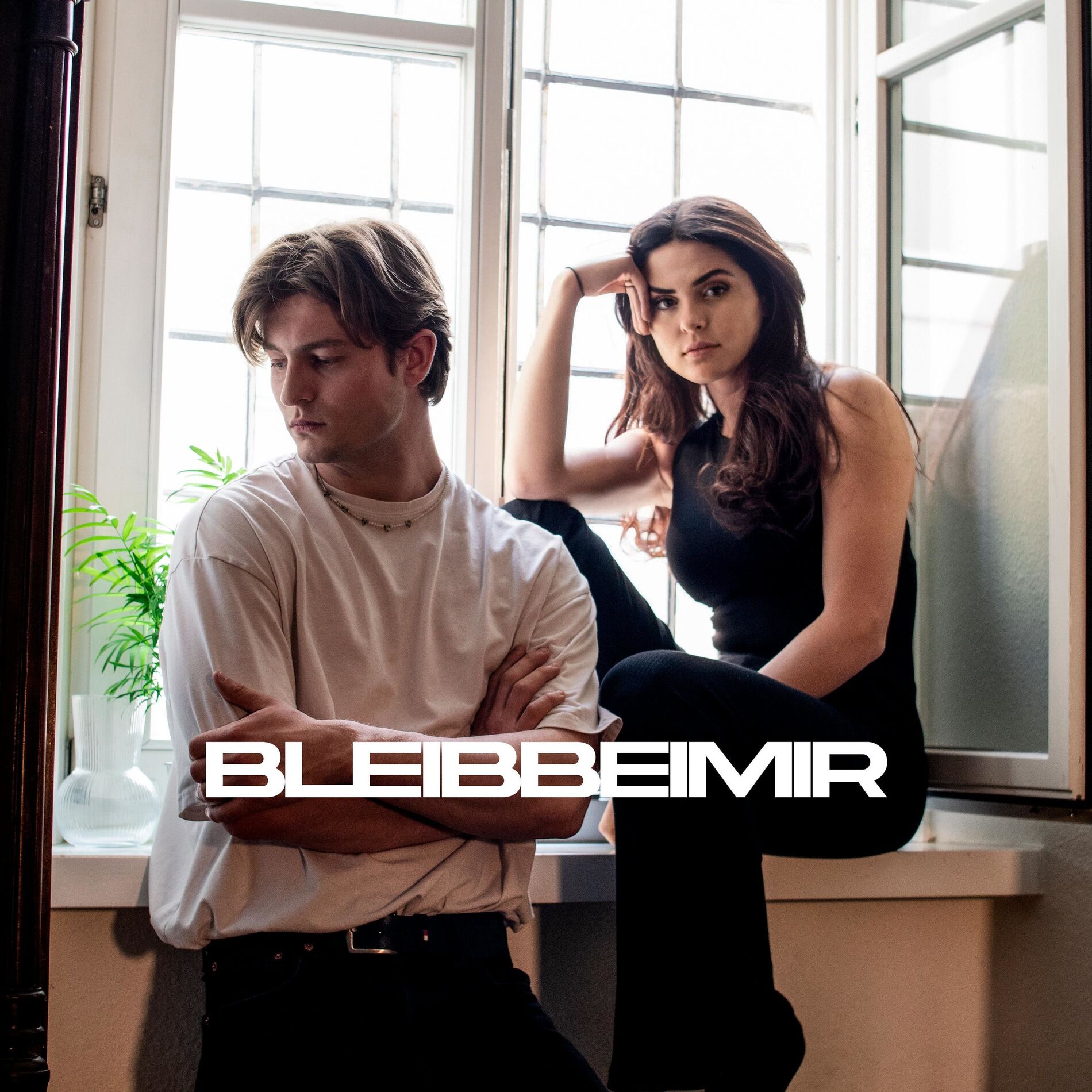 Album cover of BLEIBBEIMIR