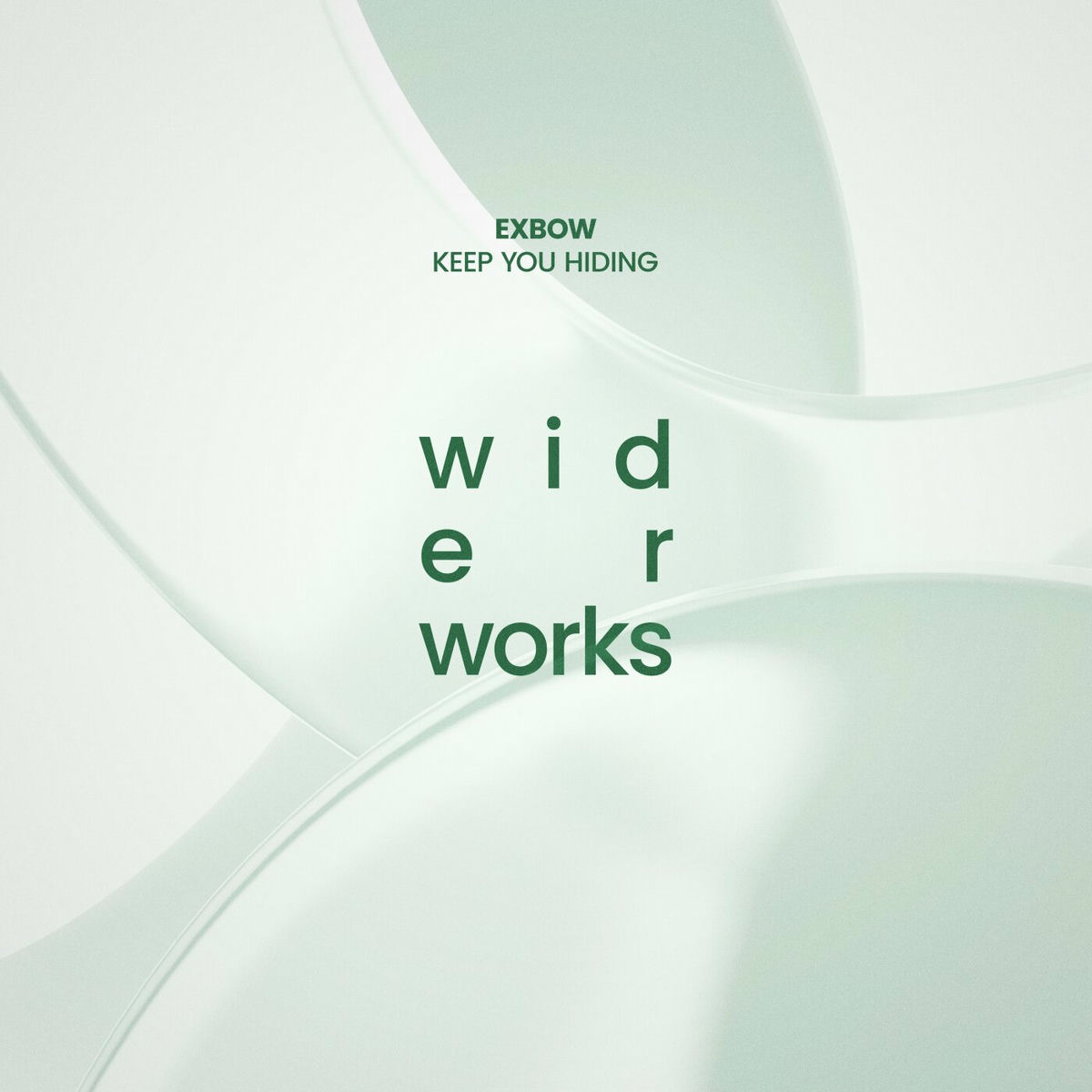 Album cover of Keep You Hiding