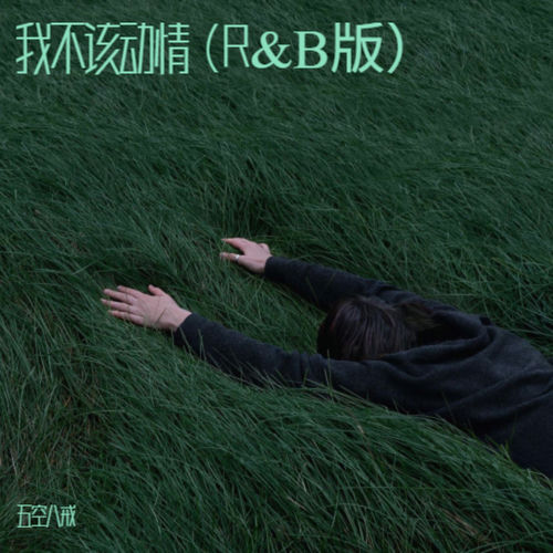 我不该动情 (R&B版)