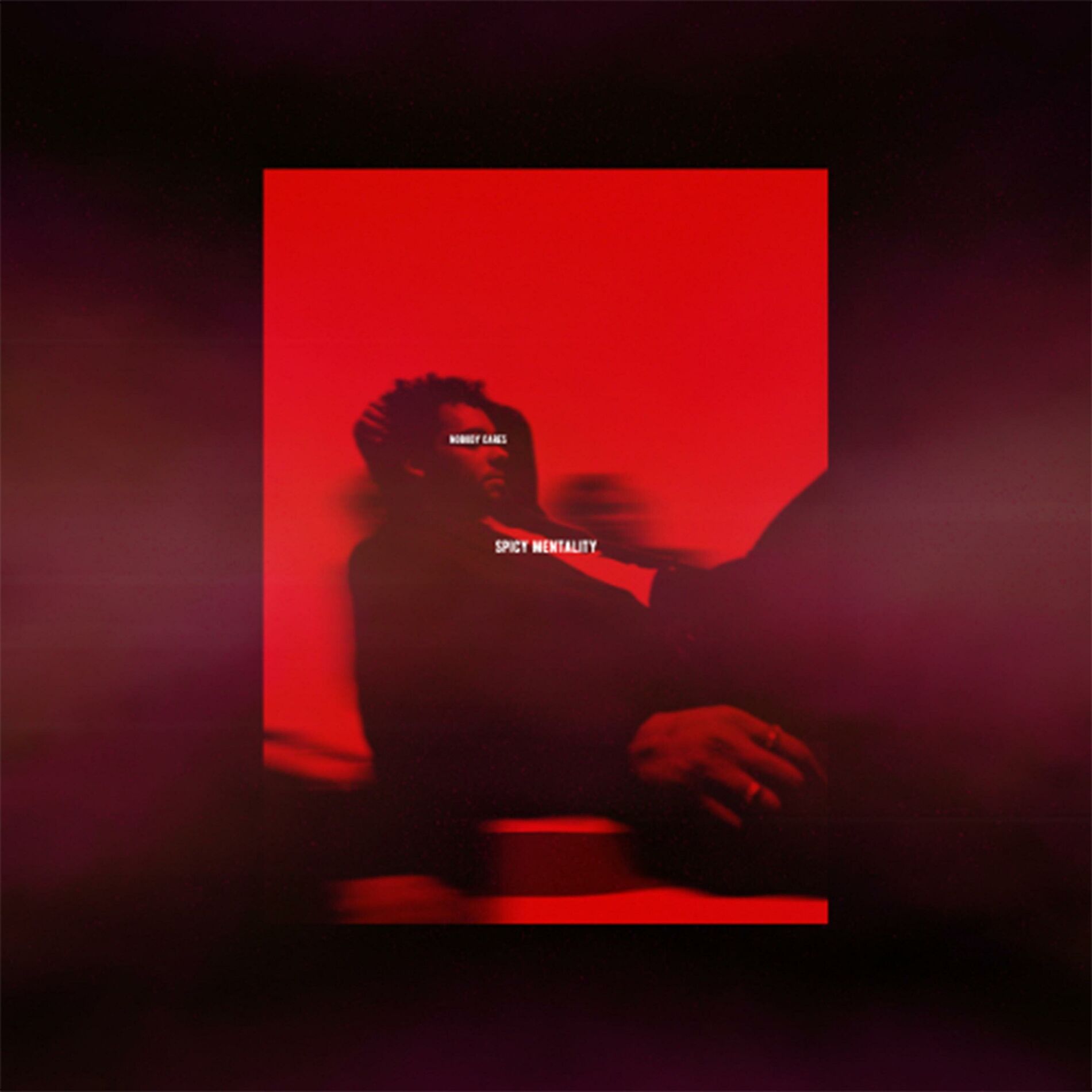 Album cover of Nobody Cares