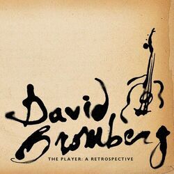 Cover of The Player: A Retrospective