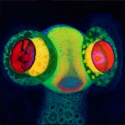 Cover of Earthling