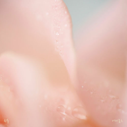 Han All – your spring, too – Single