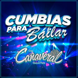 Cover of Cumbias Para Bailar