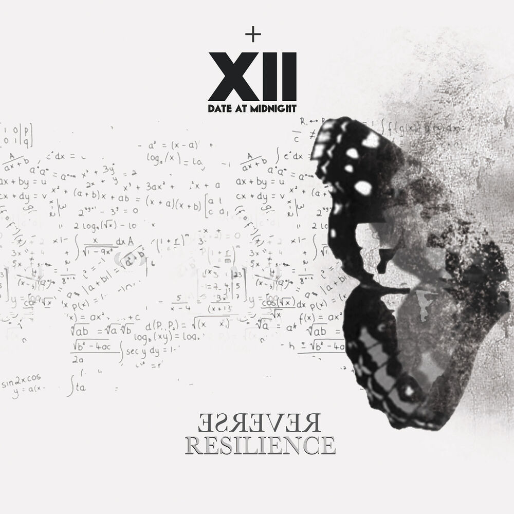 Picture of Reverse Resilience