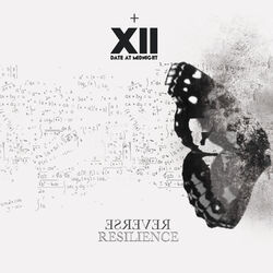 Cover of Reverse Resilience