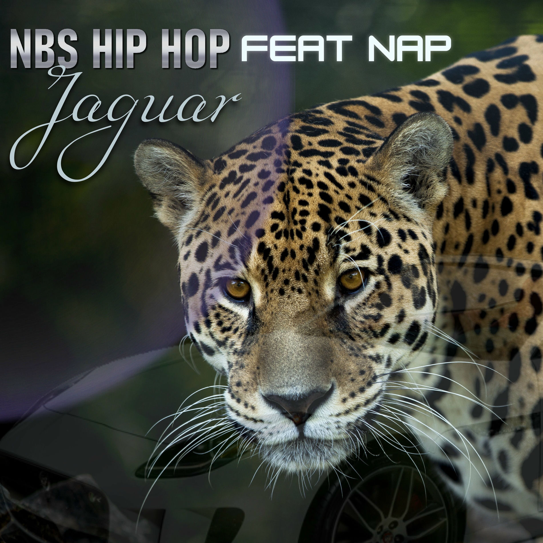 Album cover of Jaguar