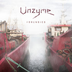 Descargar Shield - Unzyme MP3