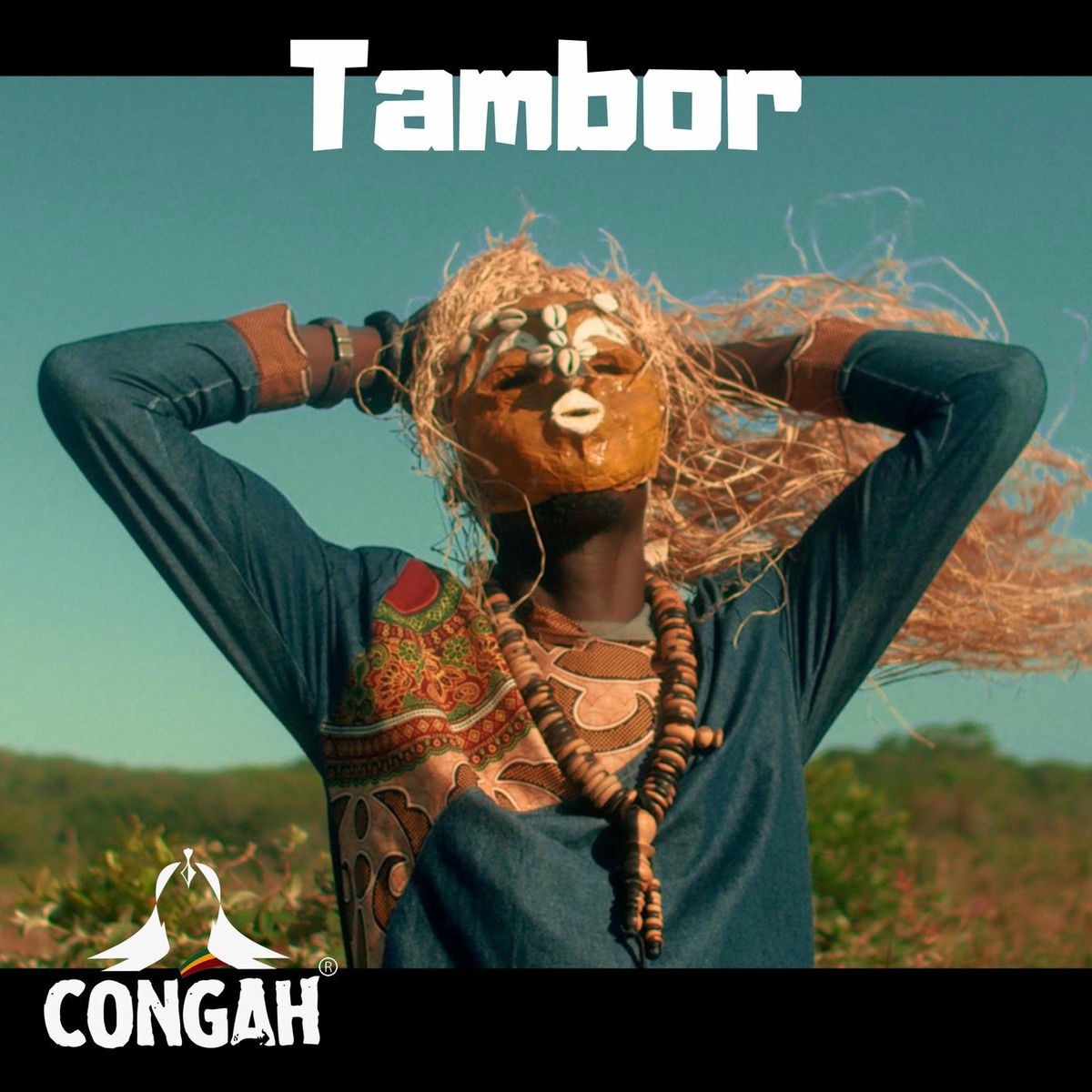 Album cover of Tambor