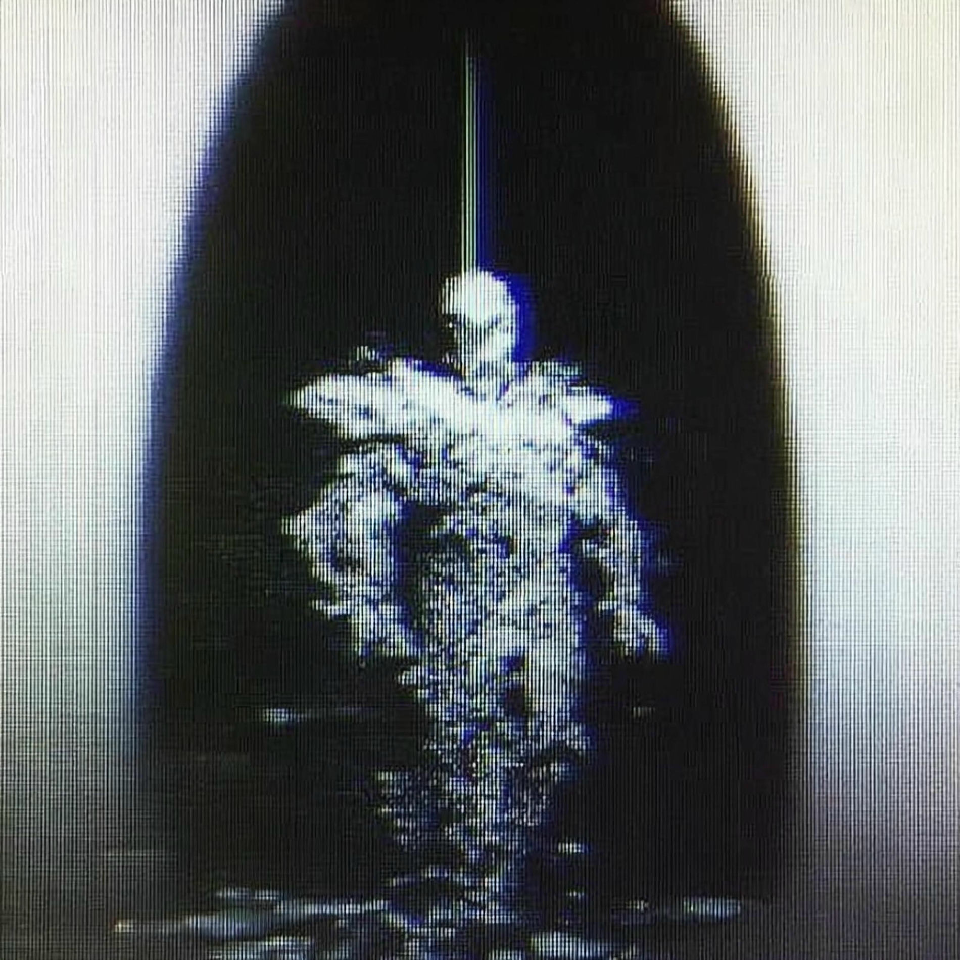 Album cover of ANNA37