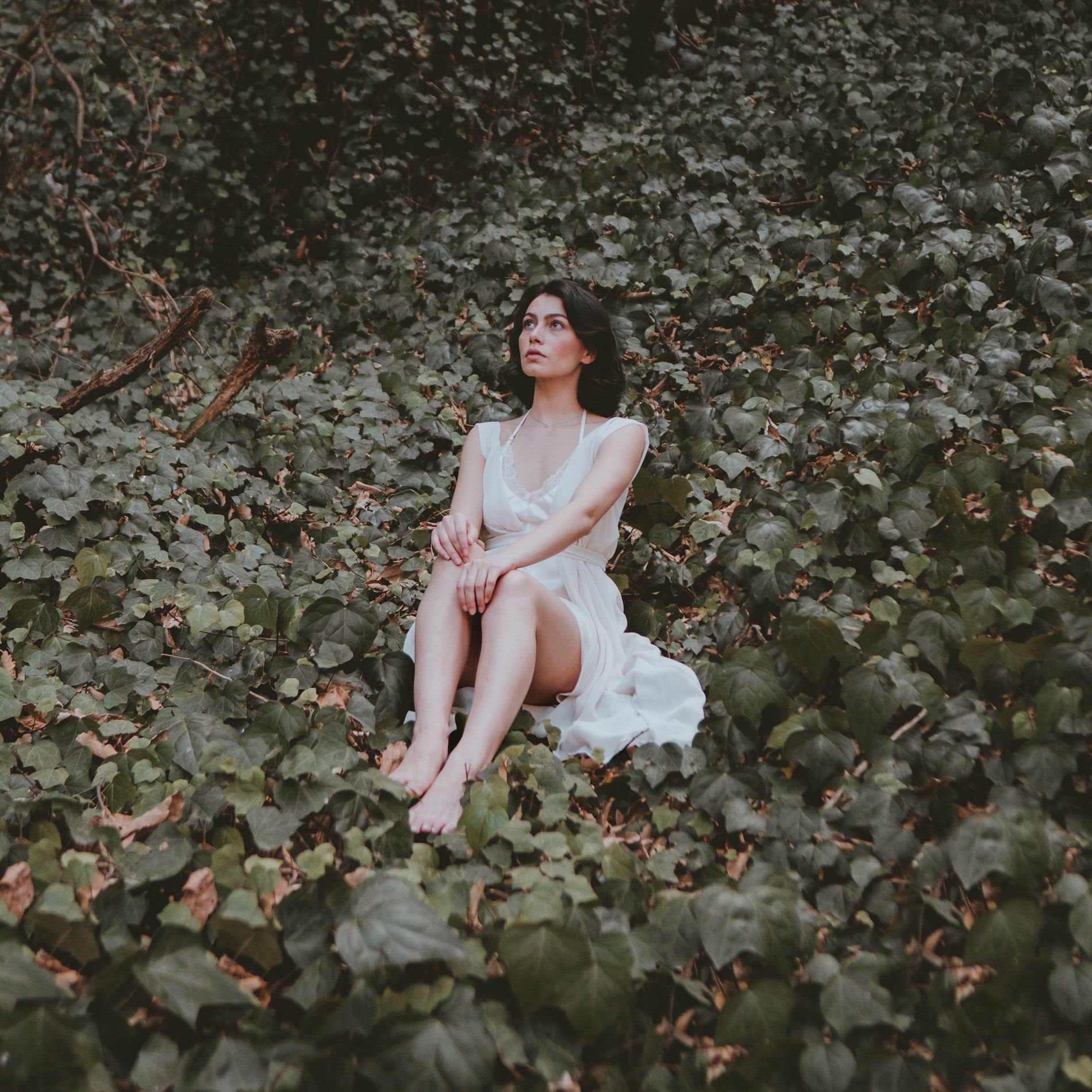 Album cover of Luz de Luna