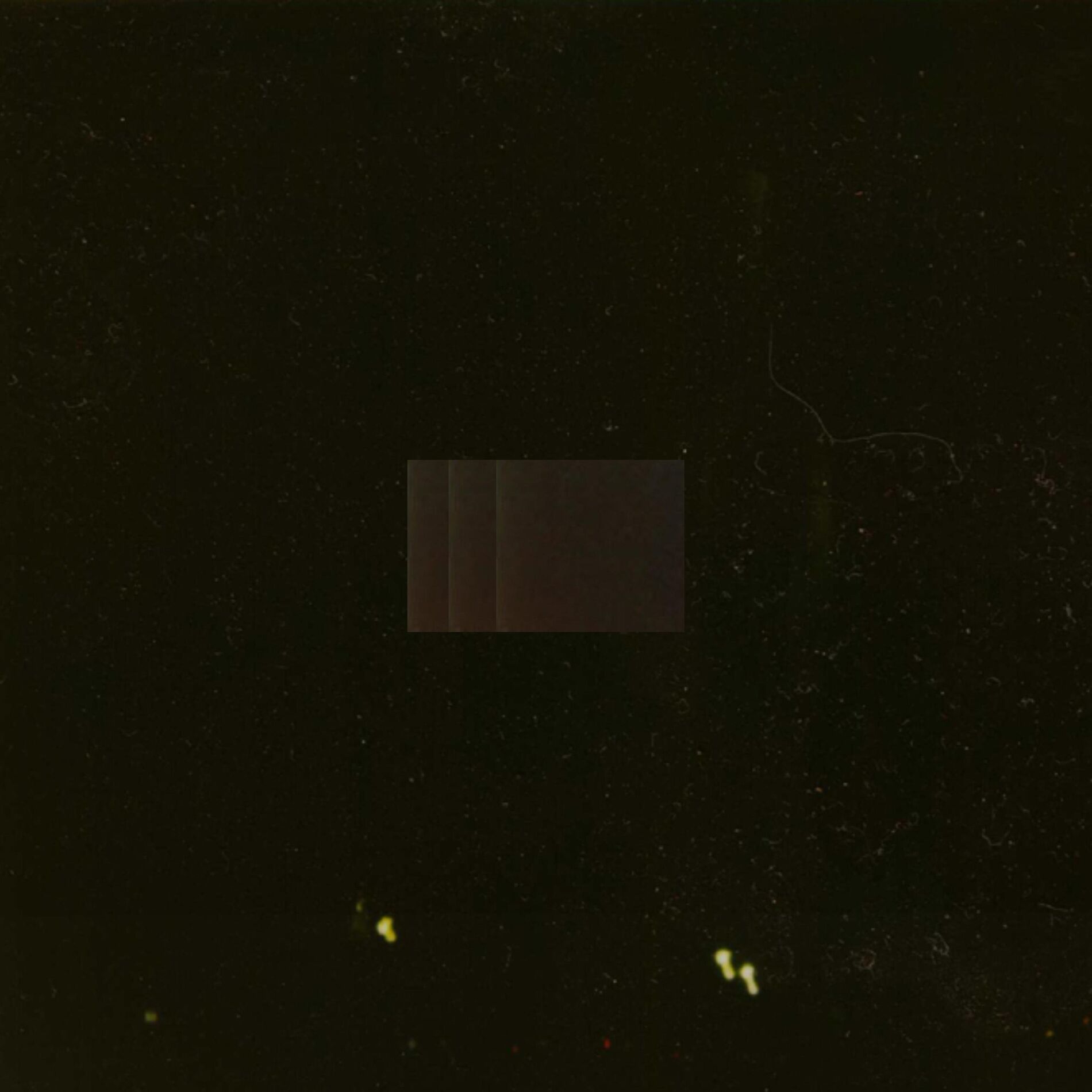Album cover of Slumber