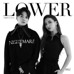 Cover of Lower