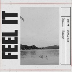Cover of Feel It