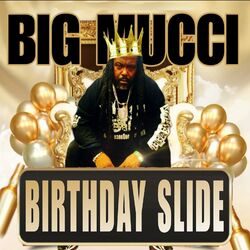 Cover of Birthday Slide