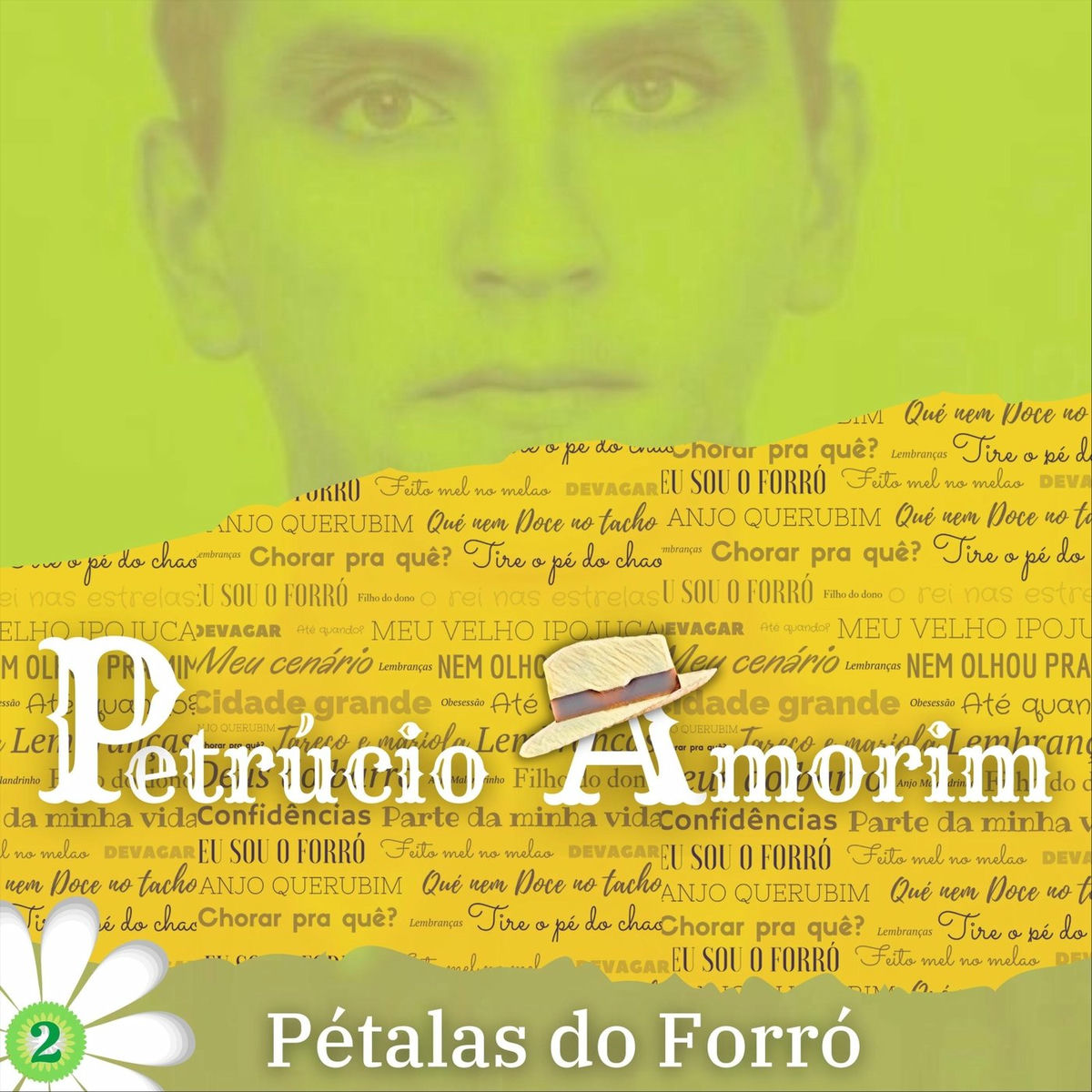 Album cover of Pétalas do Forró: 2