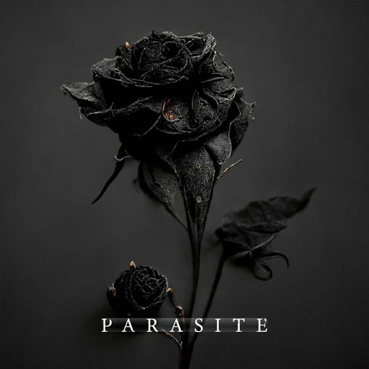 Album cover of Parasite (acoustic)