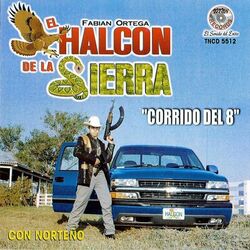 music cover