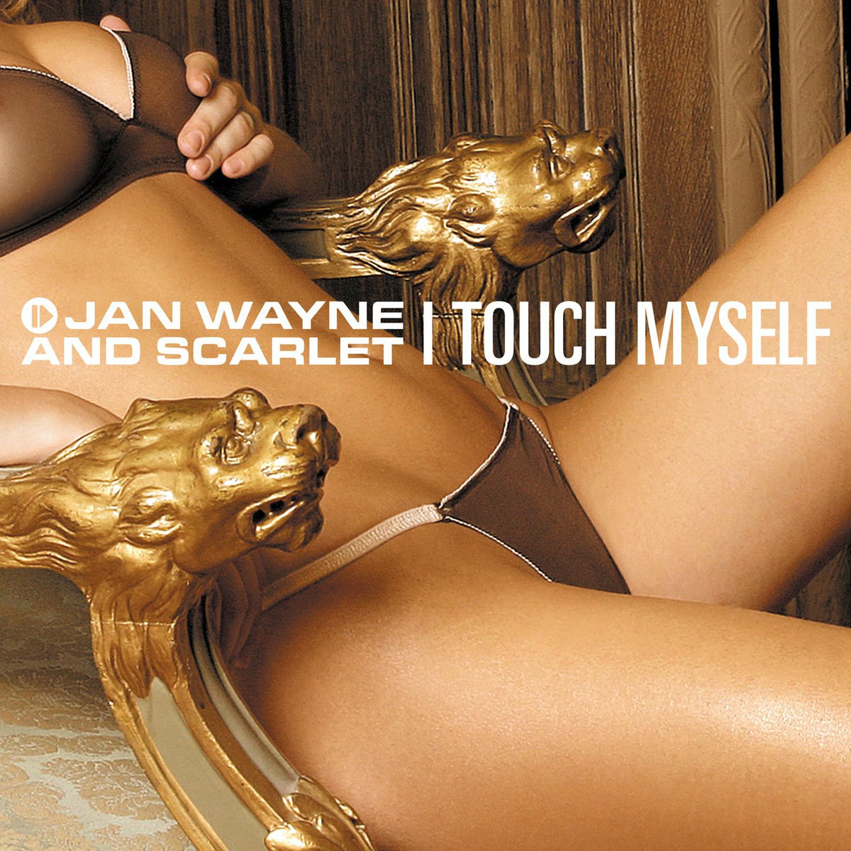Album cover of I Touch Myself