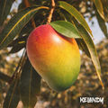 Mango Tree