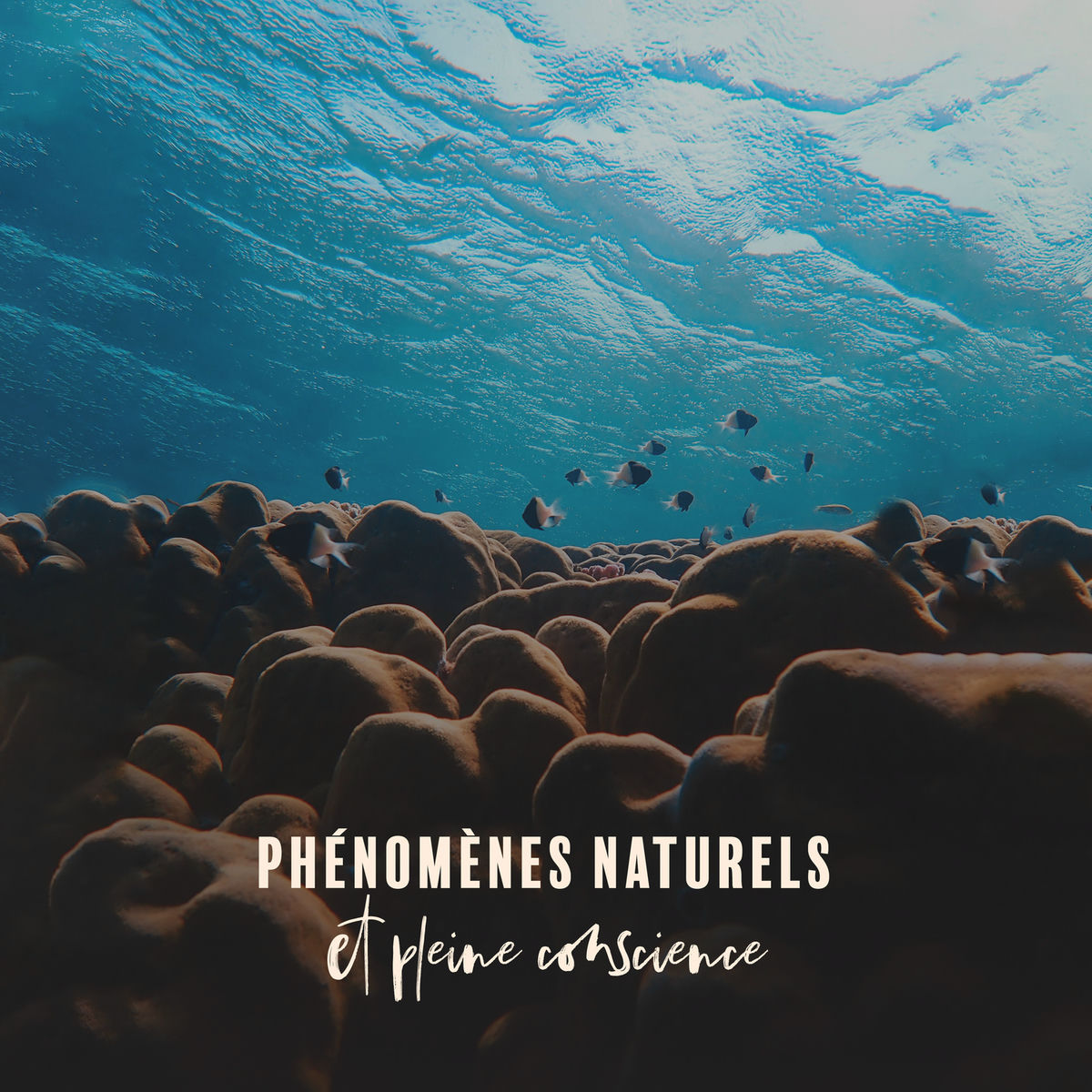 Album cover of Phénomènes naturels et pleine conscience