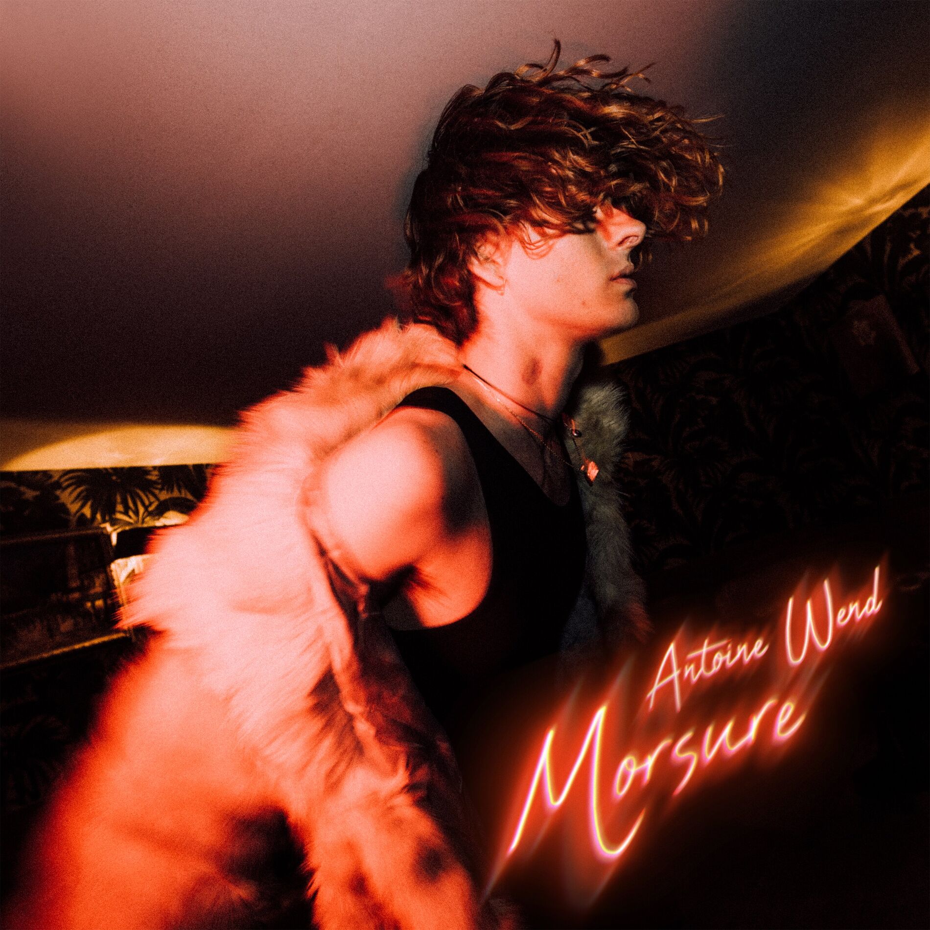 Album cover of Morsure