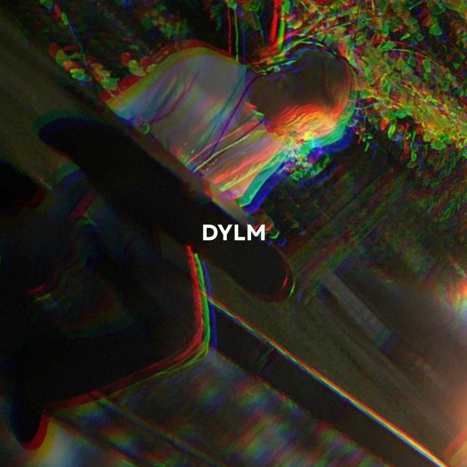 Album cover of DYLM