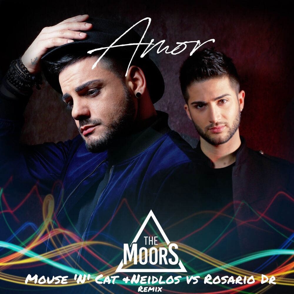 Picture of Amor (Mouse 'N' Cat & Neidlos vs Rosario Dr, Remix)