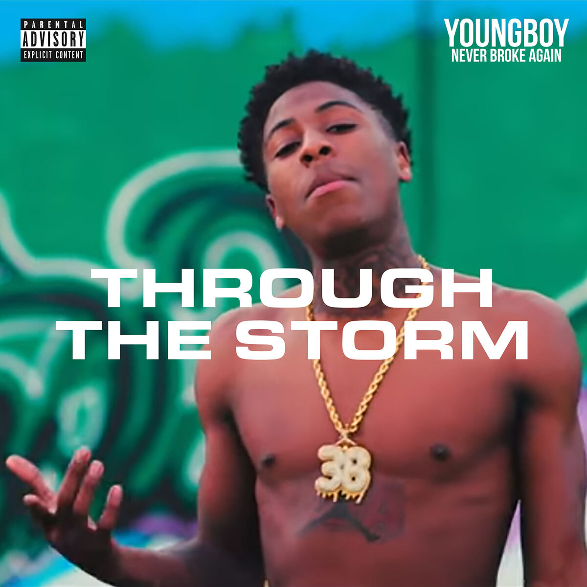 Album cover of Through the Storm